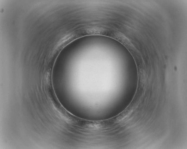 X0000059250071200510282006