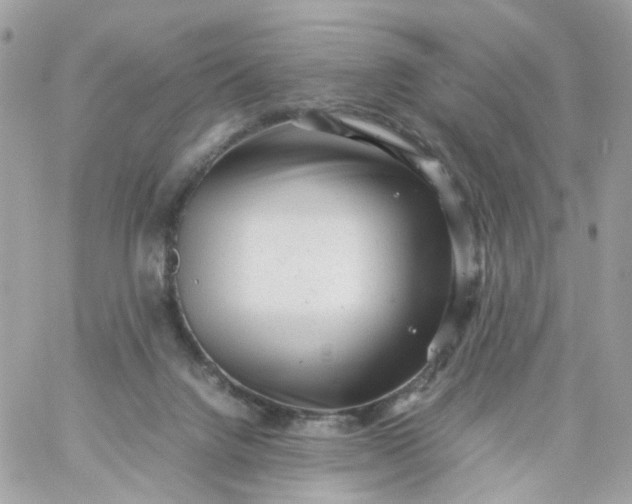 X0000059250072200510282006