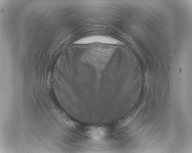 X0000059250073200510282006