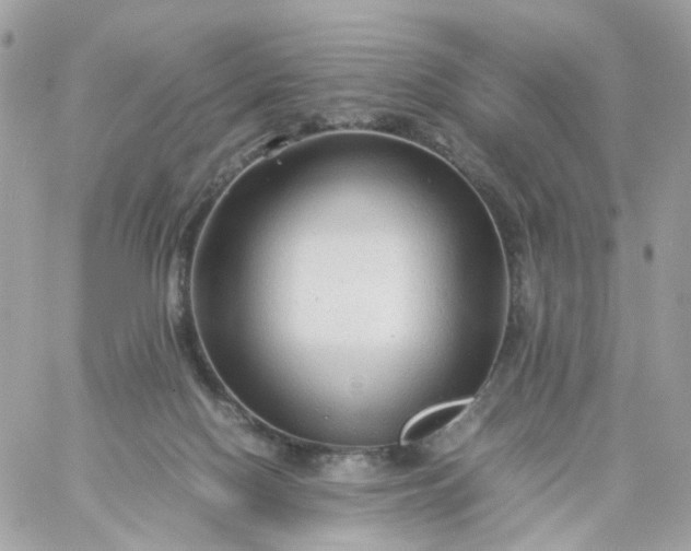 X0000059250074200510282006