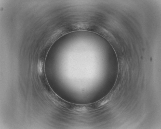 X0000059250075200510282006