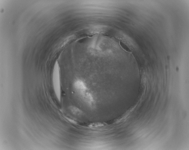 X0000059250076200510282006