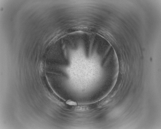 X0000059250077200510282007