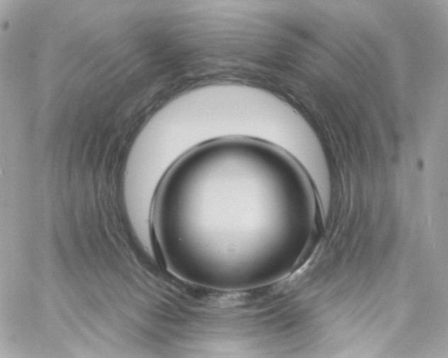 X0000059250078200510282007