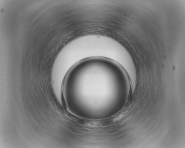 X0000059250079200510282007