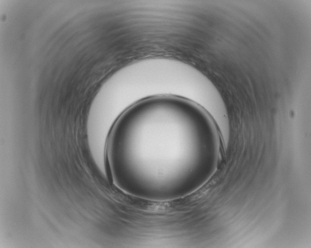 X0000059250080200510282007