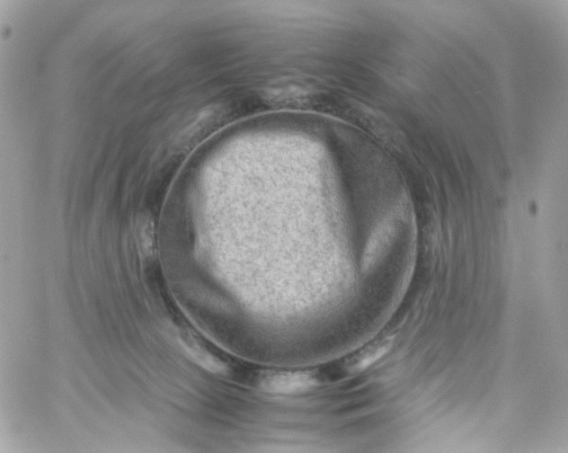 X0000059250081200510282007