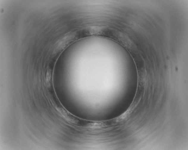 X0000059250082200510282007