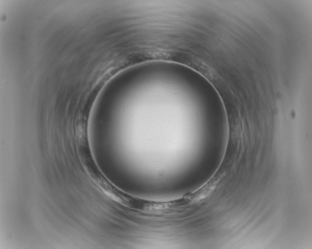 X0000059250084200510282007