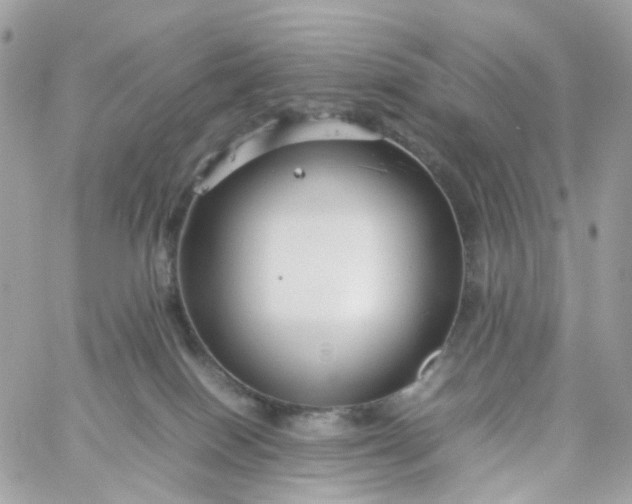 X0000059250086200510282007