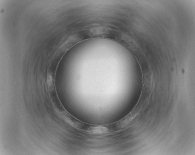 X0000059250087200510282007