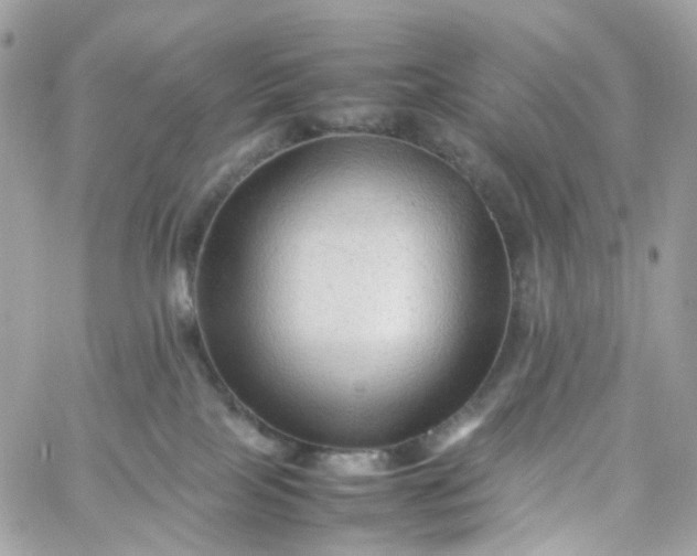 X0000059250089200510282007