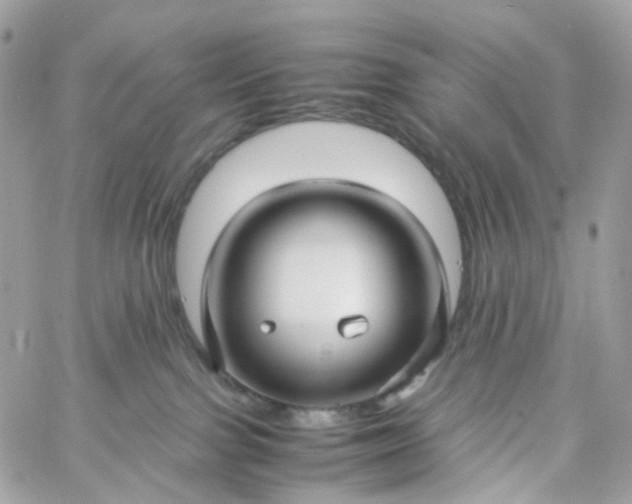 X0000059250091200510282007