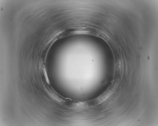 X0000059250092200510282007