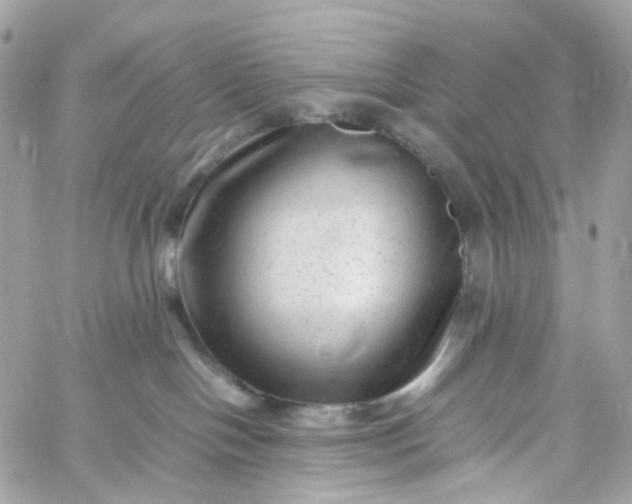 X0000059250094200510282007