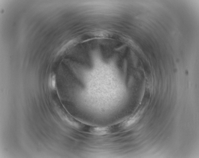 X0000059250095200510282007