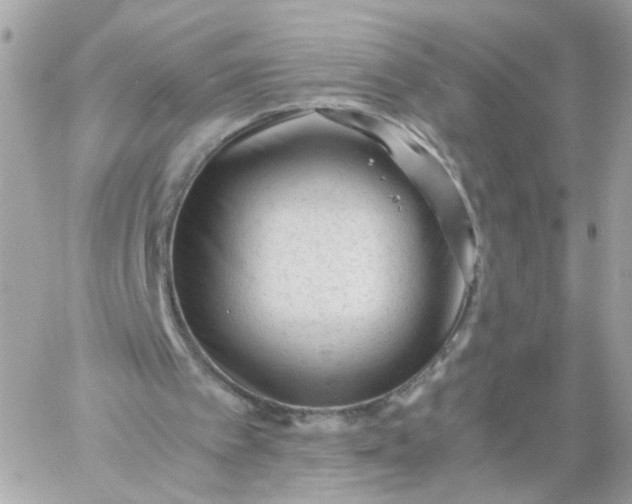 X0000059250097200510282006