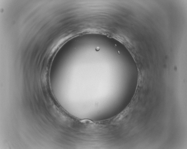 X0000059250098200510282006