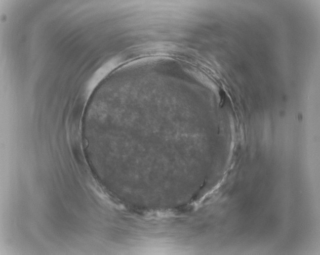 X0000059250099200510282006