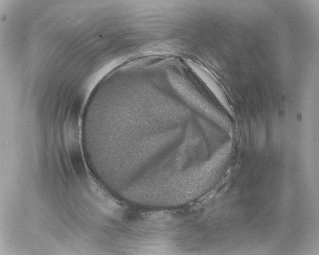 X0000059250100200510282006