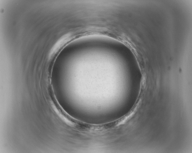 X0000059250101200510282006