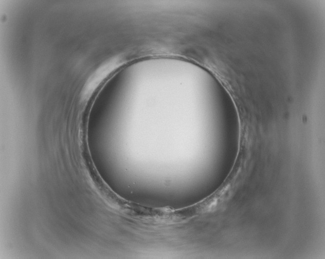 X0000059250103200510282006