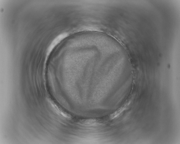 X0000059250104200510282006