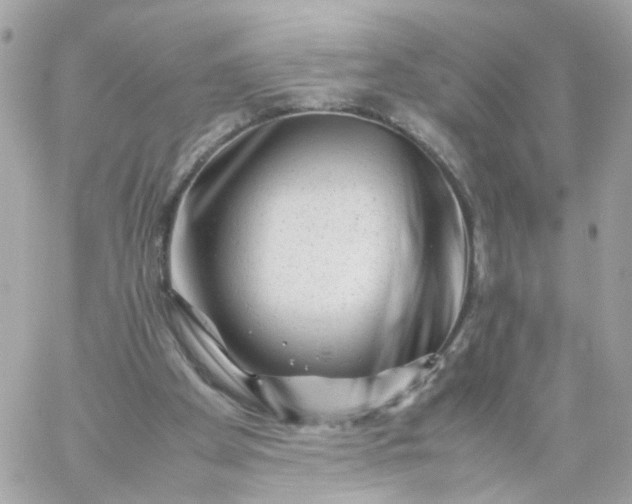 X0000059250105200510282006