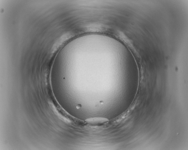 X0000059250106200510282006