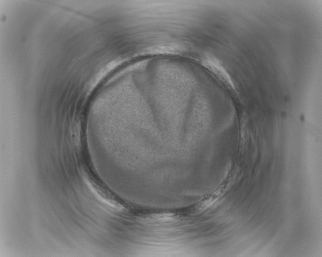 X0000059250108200510282006