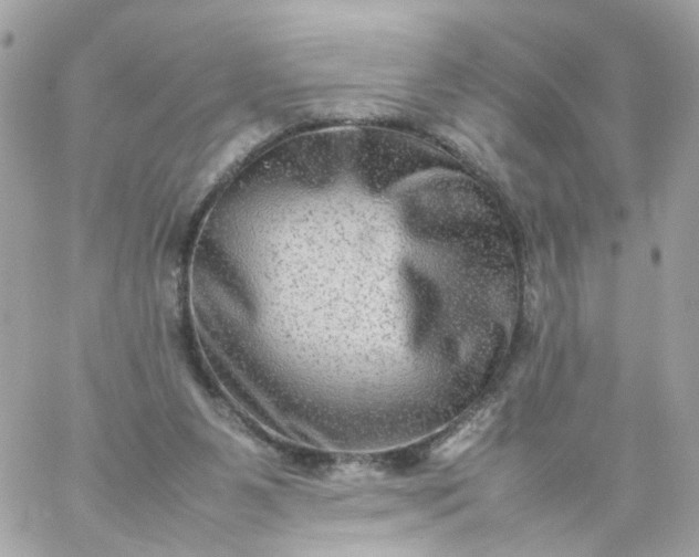 X0000059250111200510282006