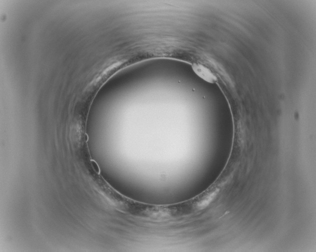 X0000059250113200510282006