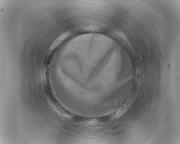 X0000059250116200510282006