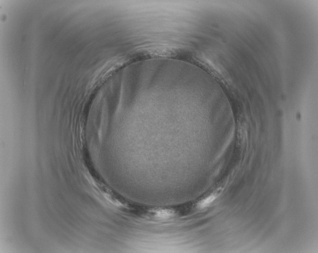 X0000059250117200510282006