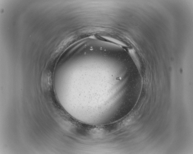 X0000059250119200510282006