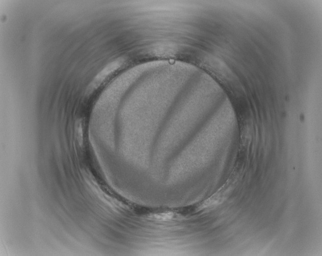 X0000059250120200510282006