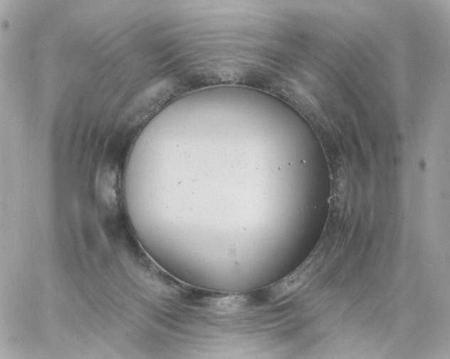 X0000059250122200510282006