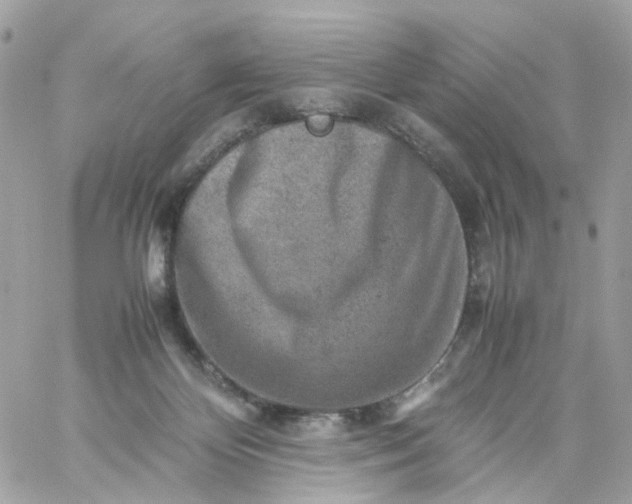 X0000059250124200510282006