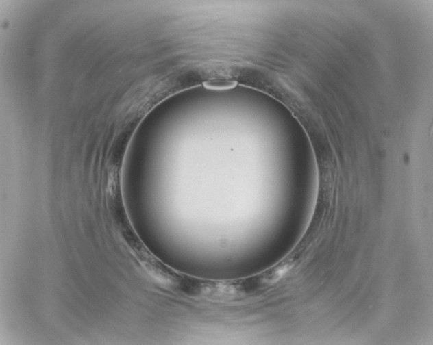 X0000059250125200510282006