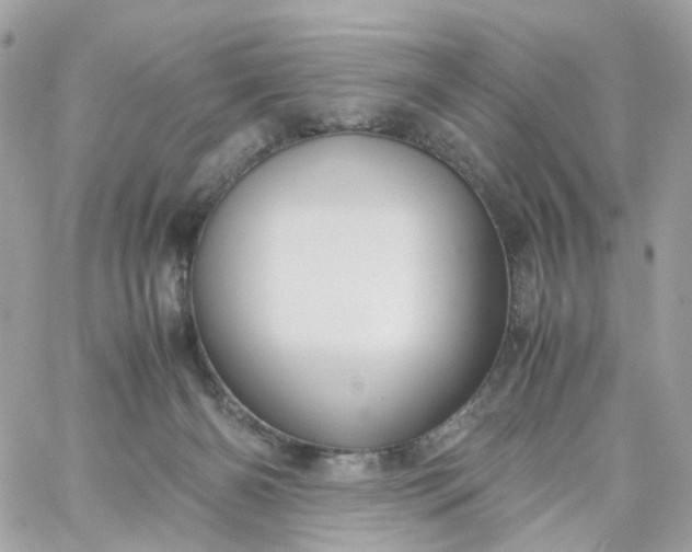 X0000059250126200510282006