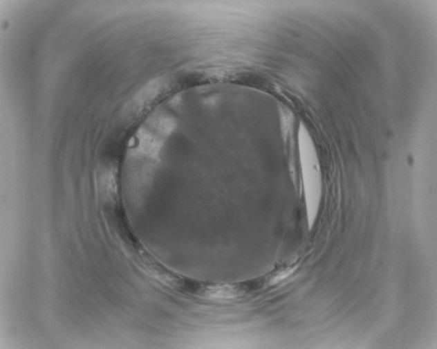 X0000059250127200510282006