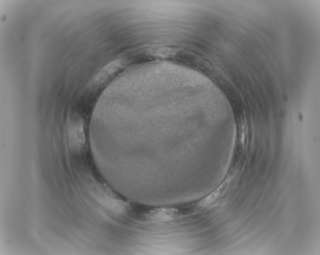 X0000059250128200510282006