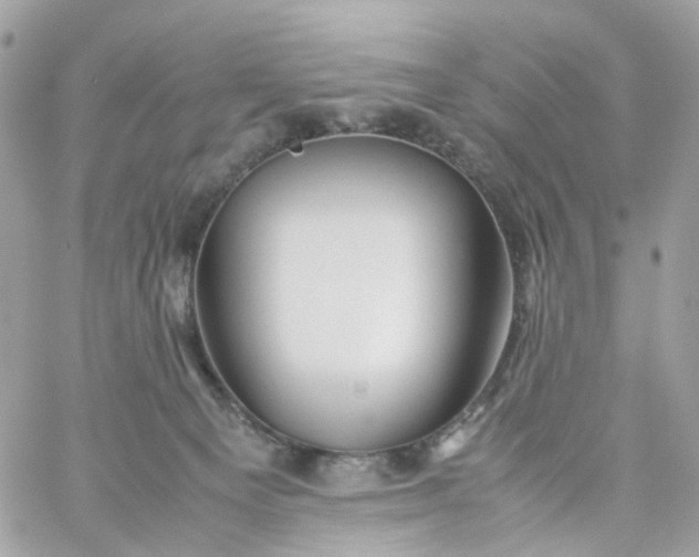 X0000059250129200510282006