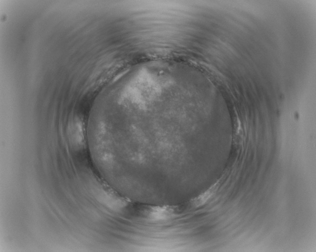 X0000059250130200510282005