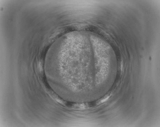 X0000059250131200510282005