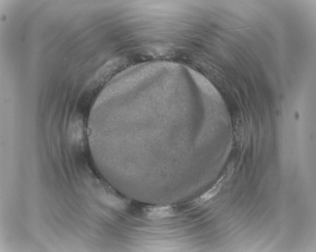 X0000059250132200510282005