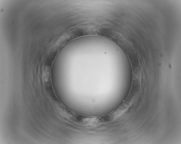 X0000059250133200510282005