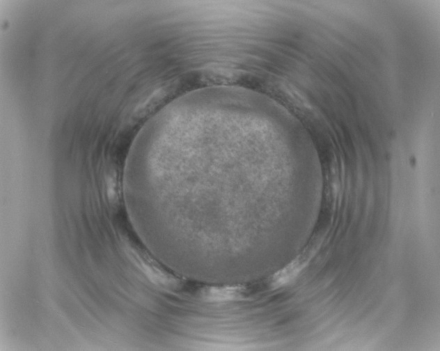 X0000059250134200510282005