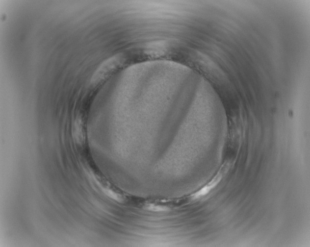 X0000059250136200510282005