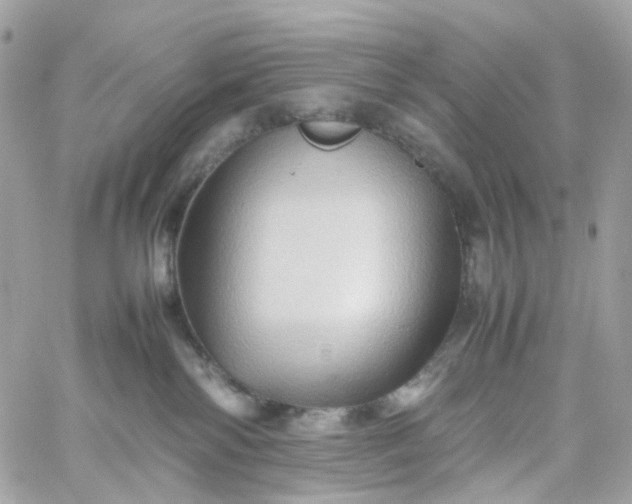 X0000059250138200510282005